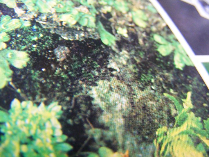 biblioteca 138 copy.jpg